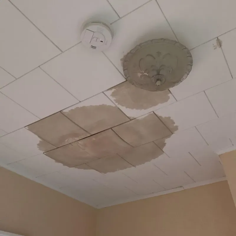 Ceiling Water Damage Repair in Wheatland, WY