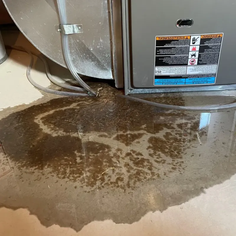 Pipe Burst and Leak Restoration in Wheatland, WY